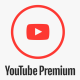 You Tube Premium